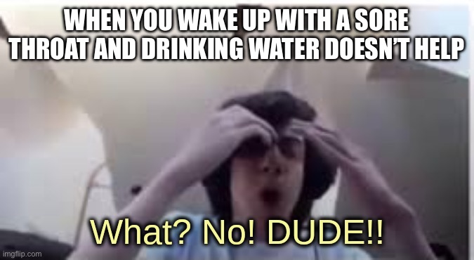 What? No! DUDE!! | WHEN YOU WAKE UP WITH A SORE THROAT AND DRINKING WATER DOESN’T HELP | image tagged in what no dude | made w/ Imgflip meme maker