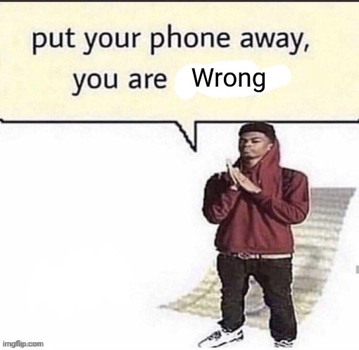 You are ____ | Wrong | image tagged in you are ____ | made w/ Imgflip meme maker