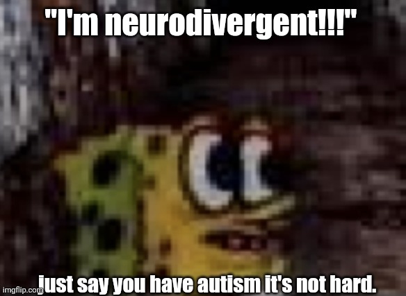 spunch bop trauma | "I'm neurodivergent!!!"; just say you have autism it's not hard. | image tagged in spunch bop trauma | made w/ Imgflip meme maker