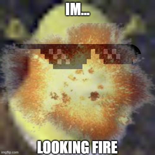 Sherk is fire | IM... LOOKING FIRE | image tagged in fashion | made w/ Imgflip meme maker