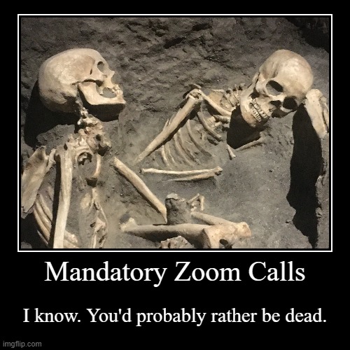 Mandatory Zoom Calls | Mandatory Zoom Calls | I know. You'd probably rather be dead. | image tagged in funny,demotivationals,zoom,work,college life,remote work | made w/ Imgflip demotivational maker