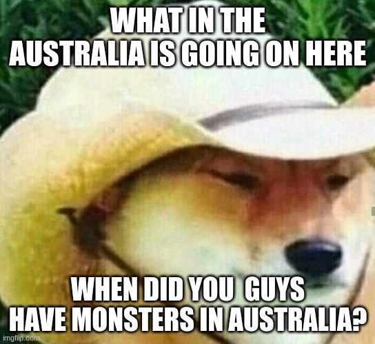 What in tarnation | WHAT IN THE AUSTRALIA IS GOING ON HERE WHEN DID YOU  GUYS HAVE MONSTERS IN AUSTRALIA? | image tagged in what in tarnation | made w/ Imgflip meme maker