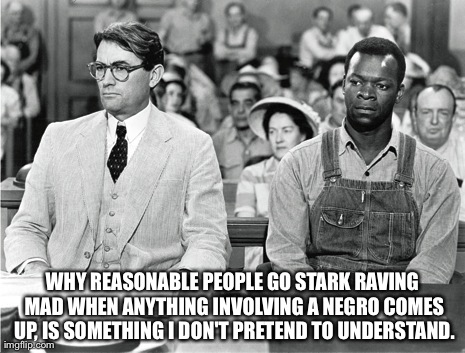 WHY REASONABLE PEOPLE GO STARK RAVING MAD WHEN ANYTHING INVOLVING A NEGRO COMES UP, IS SOMETHING I DON'T PRETEND TO UNDERSTAND. | made w/ Imgflip meme maker