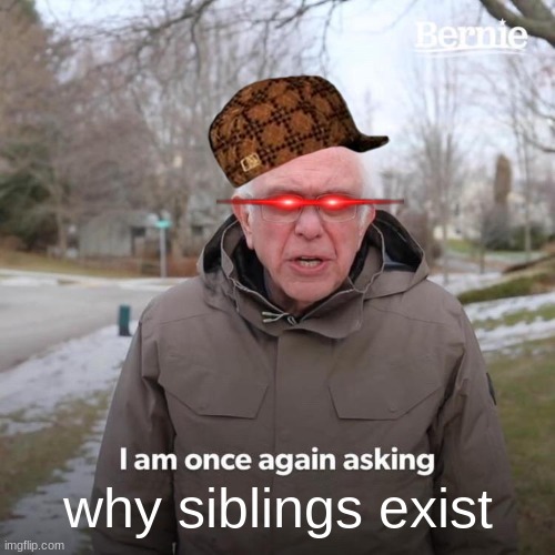 WHY THO | why siblings exist | image tagged in memes,bernie i am once again asking for your support | made w/ Imgflip meme maker