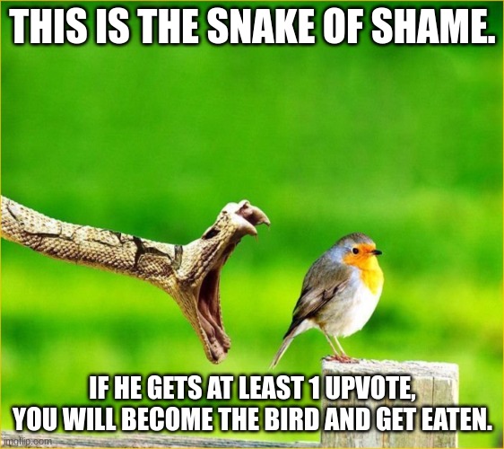 Snake Reality Bites | THIS IS THE SNAKE OF SHAME. IF HE GETS AT LEAST 1 UPVOTE, YOU WILL BECOME THE BIRD AND GET EATEN. | image tagged in snake reality bites | made w/ Imgflip meme maker