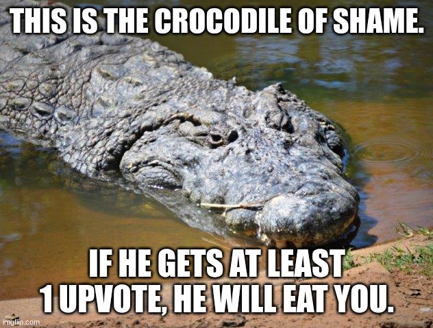 Crocodile | THIS IS THE CROCODILE OF SHAME. IF HE GETS AT LEAST 1 UPVOTE, HE WILL EAT YOU. | image tagged in crocodile | made w/ Imgflip meme maker