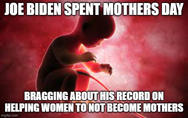 Happy Mothers Day to all the women Biden helped to not become mothers | JOE BIDEN SPENT MOTHERS DAY; BRAGGING ABOUT HIS RECORD ON HELPING WOMEN TO NOT BECOME MOTHERS | image tagged in mothers day,mothers,abortion,abortion is murder,pro choice,fjb | made w/ Imgflip meme maker