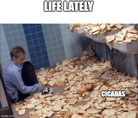 loud | LIFE LATELY; CICADAS | image tagged in bread boy | made w/ Imgflip meme maker