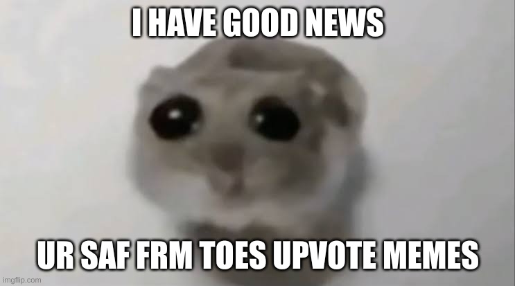 Good news | I HAVE GOOD NEWS; UR SAF FRM TOES UPVOTE MEMES | image tagged in sad hamster,good news everyone | made w/ Imgflip meme maker