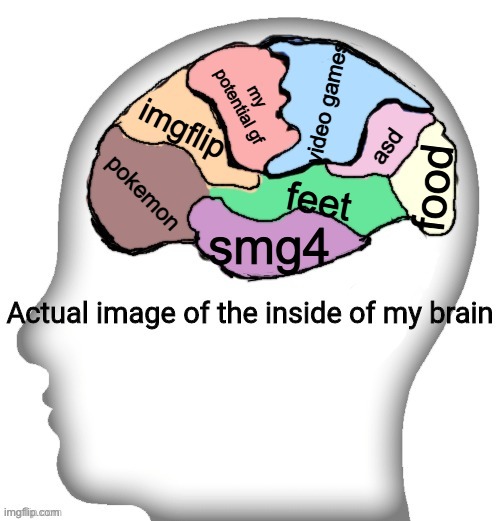 Actual image of the inside of my brain | video games; my potential gf; imgflip; asd; pokemon; food; feet; smg4 | image tagged in actual image of the inside of my brain | made w/ Imgflip meme maker