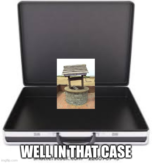 WELL IN THAT CASE | WELL IN THAT CASE | image tagged in sakjfc | made w/ Imgflip meme maker