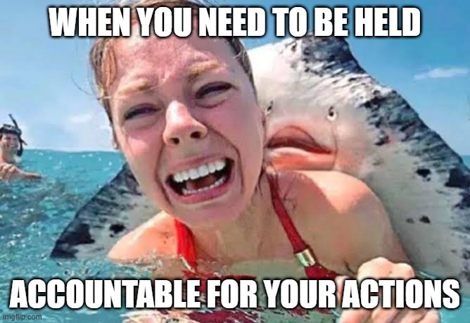 Manta behind woman | WHEN YOU NEED TO BE HELD; ACCOUNTABLE FOR YOUR ACTIONS | image tagged in manta behind woman | made w/ Imgflip meme maker