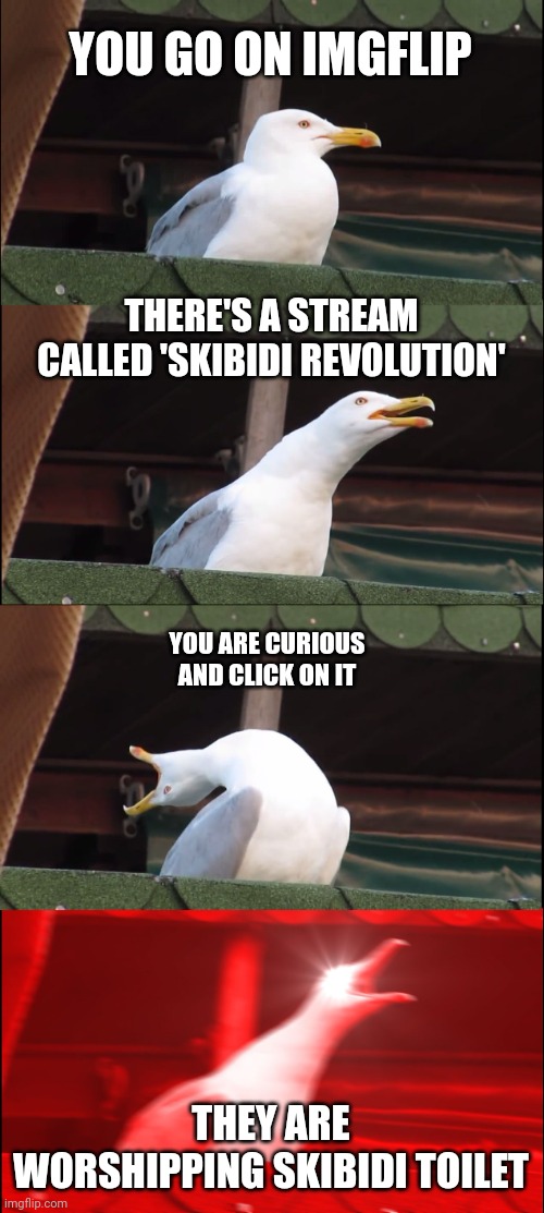 One more meme and I'm starting my own revolution | YOU GO ON IMGFLIP; THERE'S A STREAM CALLED 'SKIBIDI REVOLUTION'; YOU ARE CURIOUS AND CLICK ON IT; THEY ARE WORSHIPPING SKIBIDI TOILET | image tagged in memes,inhaling seagull,skibidi toilet | made w/ Imgflip meme maker