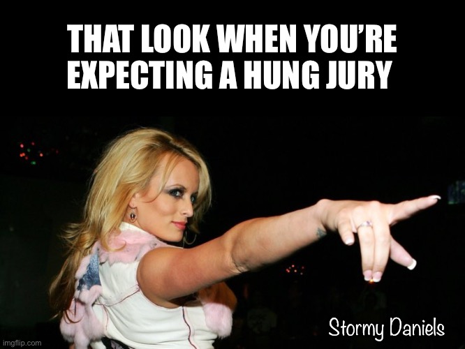 Stormy Daniels | THAT LOOK WHEN YOU’RE EXPECTING A HUNG JURY; Stormy Daniels | image tagged in stormy daniels | made w/ Imgflip meme maker