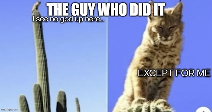 THE GUY WHO DID IT | image tagged in i see no god up here except for me but bobcat | made w/ Imgflip meme maker