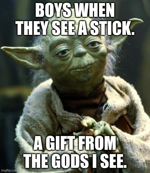 Star Wars Yoda | BOYS WHEN THEY SEE A STICK. A GIFT FROM THE GODS I SEE. | image tagged in memes,star wars yoda | made w/ Imgflip meme maker