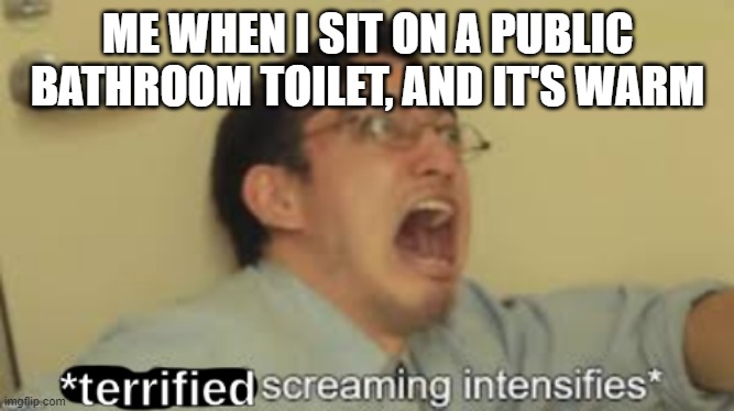 Very relatable | ME WHEN I SIT ON A PUBLIC BATHROOM TOILET, AND IT'S WARM | image tagged in terrified screaming intensifies,public restrooms,freaking out | made w/ Imgflip meme maker