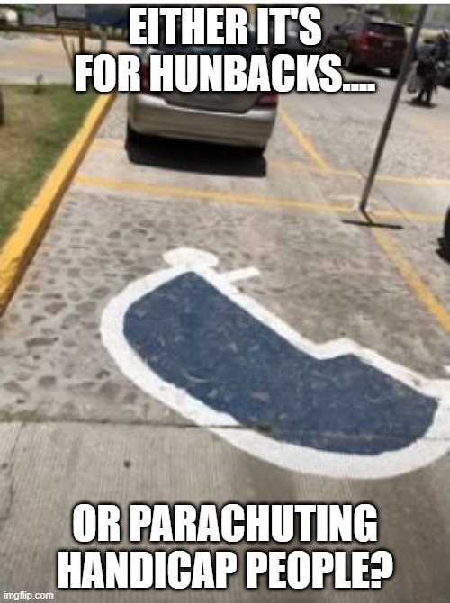 The Parking | EITHER IT'S FOR HUNBACKS.... OR PARACHUTING HANDICAP PEOPLE? | image tagged in you had one job | made w/ Imgflip meme maker