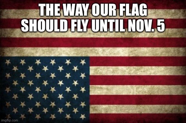 Upside Down American Flag | THE WAY OUR FLAG SHOULD FLY UNTIL NOV. 5 | image tagged in upside down american flag | made w/ Imgflip meme maker