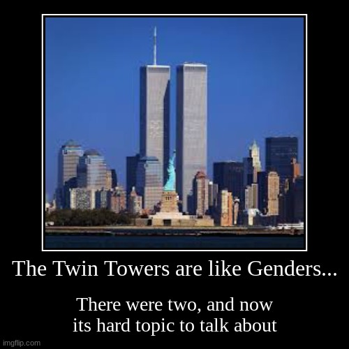 The Twin Towers are like Genders... | There were two, and now its hard topic to talk about | image tagged in funny,demotivationals | made w/ Imgflip demotivational maker