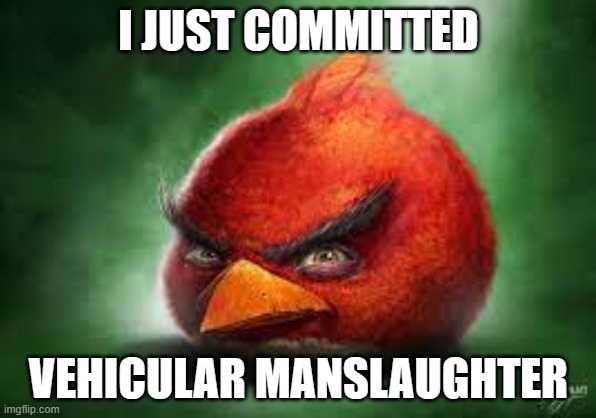 Everybody can relato to that | I JUST COMMITTED; VEHICULAR MANSLAUGHTER | image tagged in realistic red angry birds | made w/ Imgflip meme maker