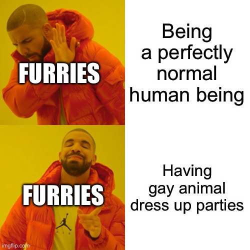 Drake Hotline Bling | Being a perfectly normal human being; FURRIES; Having gay animal dress up parties; FURRIES | image tagged in memes,drake hotline bling | made w/ Imgflip meme maker