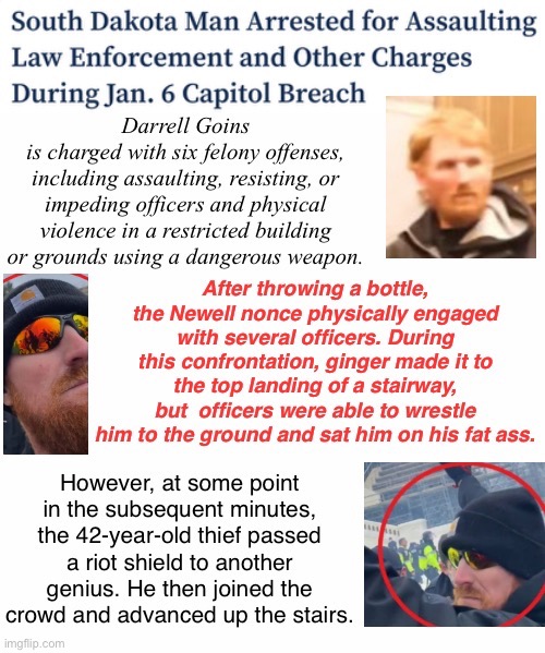 Capitol tosser arrested | image tagged in assault,treason,domestic terrorist,tuff mouse when in a crowd,losers losing | made w/ Imgflip meme maker