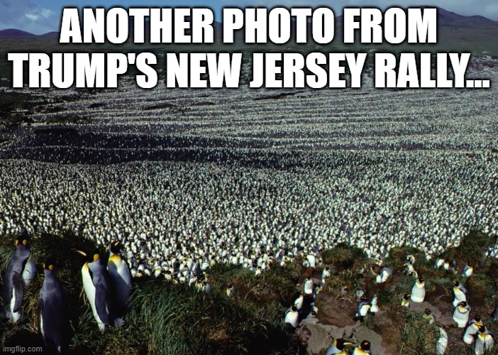 The Trump Rally | ANOTHER PHOTO FROM TRUMP'S NEW JERSEY RALLY... | image tagged in trump | made w/ Imgflip meme maker