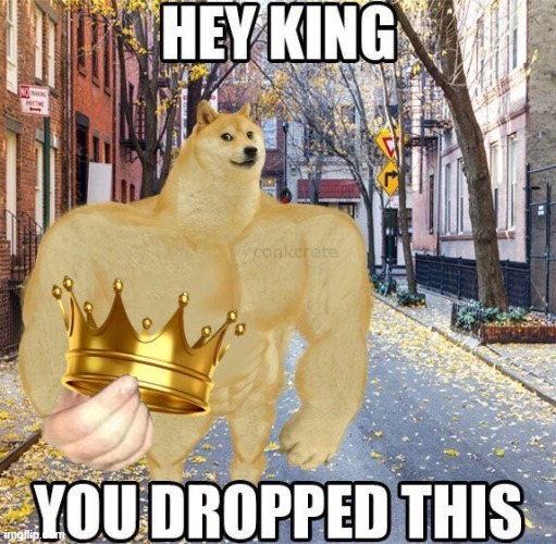 Hey king you dropped this | image tagged in hey king you dropped this | made w/ Imgflip meme maker