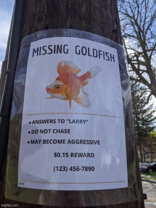 Have you seen Larry? | image tagged in repost,larry,missing | made w/ Imgflip meme maker