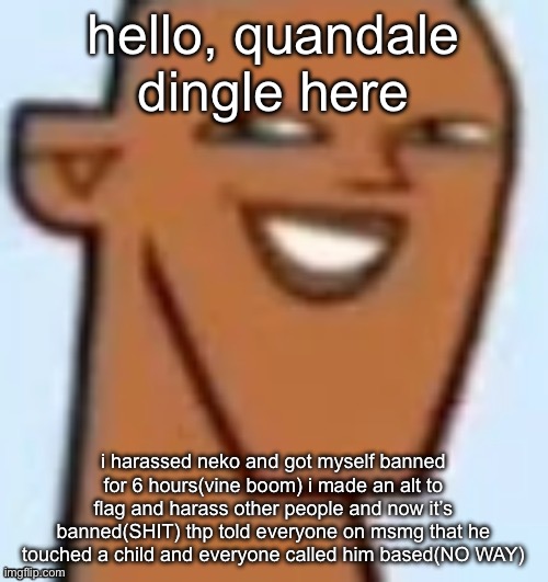 hear me out | hello, quandale dingle here; i harassed neko and got myself banned for 6 hours(vine boom) i made an alt to flag and harass other people and now it’s banned(SHIT) thp told everyone on msmg that he touched a child and everyone called him based(NO WAY) | image tagged in justin | made w/ Imgflip meme maker