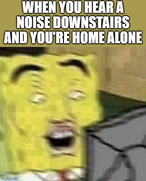 That Feeling | WHEN YOU HEAR A NOISE DOWNSTAIRS AND YOU'RE HOME ALONE | image tagged in memes | made w/ Imgflip meme maker