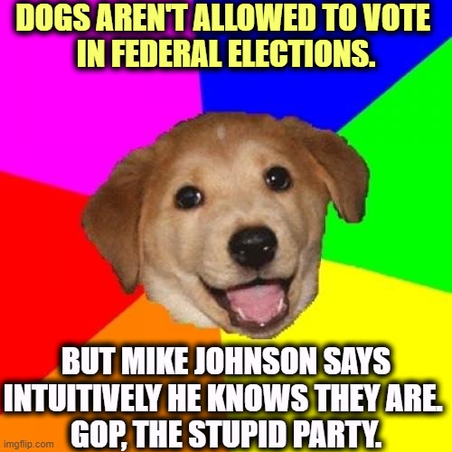 I've got a number for you, Mike. Zero. | DOGS AREN'T ALLOWED TO VOTE 
IN FEDERAL ELECTIONS. BUT MIKE JOHNSON SAYS INTUITIVELY HE KNOWS THEY ARE. 
GOP, THE STUPID PARTY. | image tagged in memes,advice dog,mike johnson,voter fraud,integrity | made w/ Imgflip meme maker