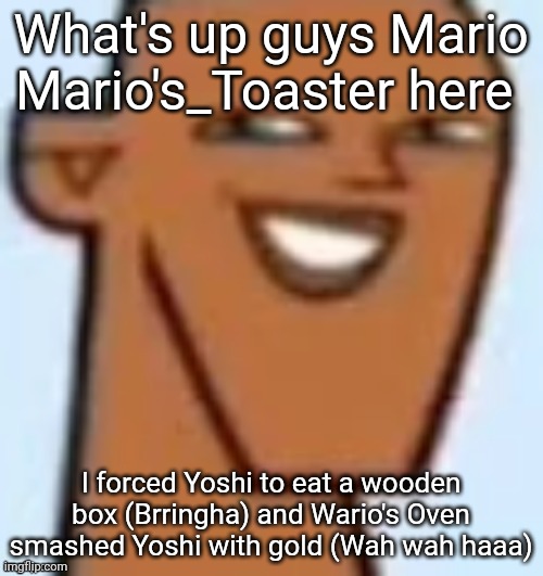 justin | What's up guys Mario Mario's_Toaster here; I forced Yoshi to eat a wooden box (Brringha) and Wario's Oven smashed Yoshi with gold (Wah wah haaa) | image tagged in justin | made w/ Imgflip meme maker