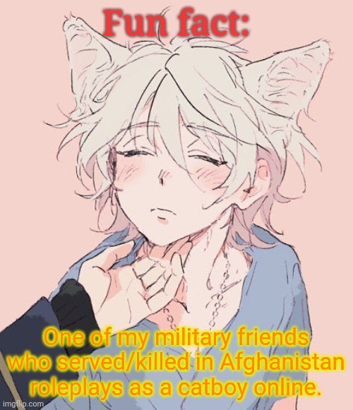 catboy for your catboy needs | Fun fact:; One of my military friends who served/killed in Afghanistan roleplays as a catboy online. | image tagged in catboy for your catboy needs,frost | made w/ Imgflip meme maker