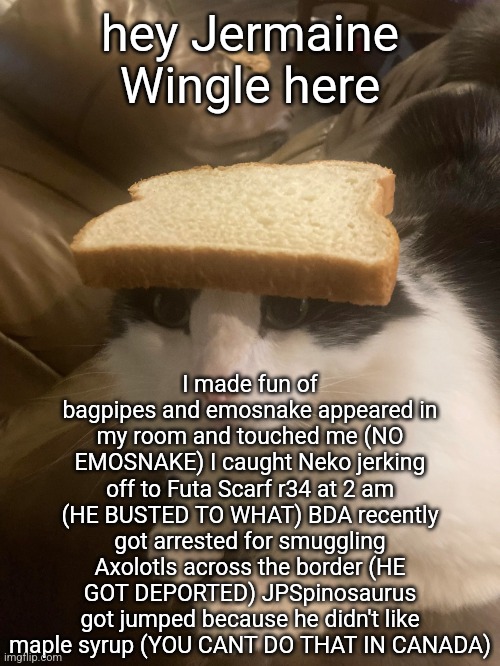 bread cat | hey Jermaine Wingle here; I made fun of bagpipes and emosnake appeared in my room and touched me (NO EMOSNAKE) I caught Neko jerking off to Futa Scarf r34 at 2 am (HE BUSTED TO WHAT) BDA recently got arrested for smuggling Axolotls across the border (HE GOT DEPORTED) JPSpinosaurus got jumped because he didn't like maple syrup (YOU CANT DO THAT IN CANADA) | image tagged in bread cat | made w/ Imgflip meme maker