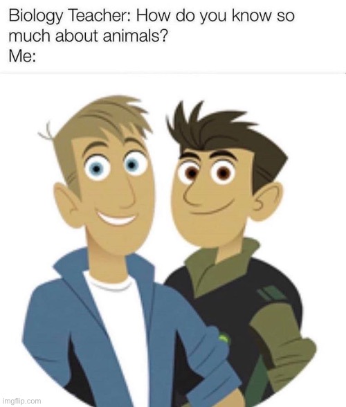 image tagged in wild kratts | made w/ Imgflip meme maker