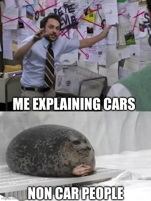 Man explaining to seal | ME EXPLAINING CARS; NON CAR PEOPLE | image tagged in man explaining to seal | made w/ Imgflip meme maker
