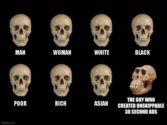 Anyone agree with this? | THE GUY WHO CREATED UNSKIPPABLE 30 SECOND ADS | image tagged in empty skulls of truth | made w/ Imgflip meme maker