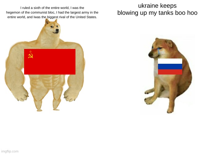 Russia then vs Russia now | ukraine keeps blowing up my tanks boo hoo; I ruled a sixth of the entire world, I was the hegemon of the communist bloc, I had the largest army in the entire world, and Iwas the biggest rival of the United States. | image tagged in memes,buff doge vs cheems | made w/ Imgflip meme maker