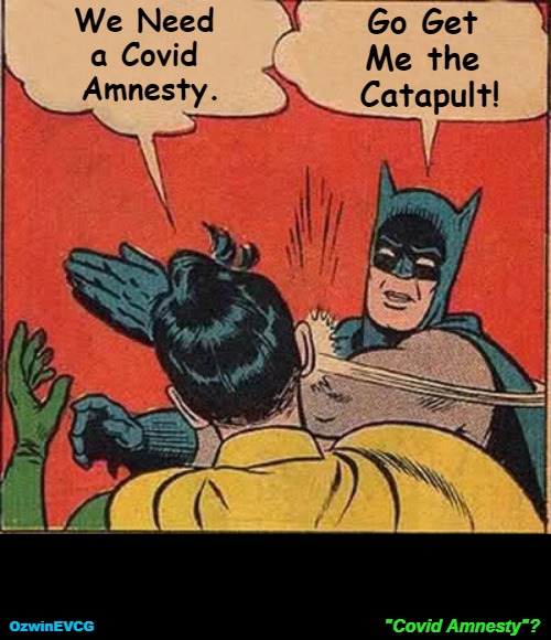 "Covid Amnesty"? | We Need 

a Covid 

Amnesty. Go Get 

Me the 

Catapult! "Covid Amnesty"? OzwinEVCG | image tagged in memes,batman slapping robin,fair trials and fluffy pillows,crimes against humanity,covid criminals,no covid amnesty | made w/ Imgflip meme maker