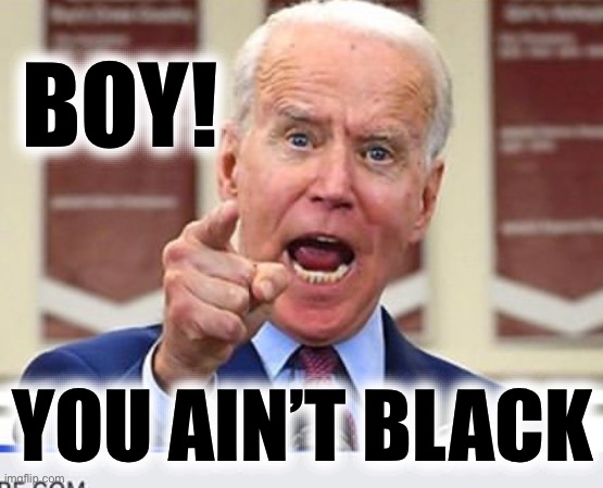 Joe Biden no malarkey | BOY! YOU AIN’T BLACK | image tagged in joe biden no malarkey | made w/ Imgflip meme maker