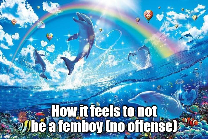 Happy dolphin rainbow | How it feels to not be a femboy (no offense) | image tagged in happy dolphin rainbow | made w/ Imgflip meme maker