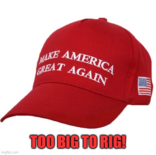 50 states baby! | TOO BIG TO RIG! | image tagged in maga hat,election rigging | made w/ Imgflip meme maker