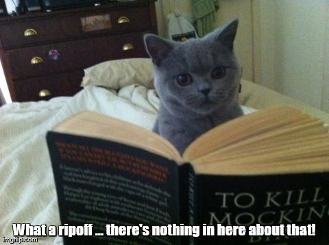 What a ripoff ... there's nothing in here about that! | image tagged in cats,funny | made w/ Imgflip meme maker
