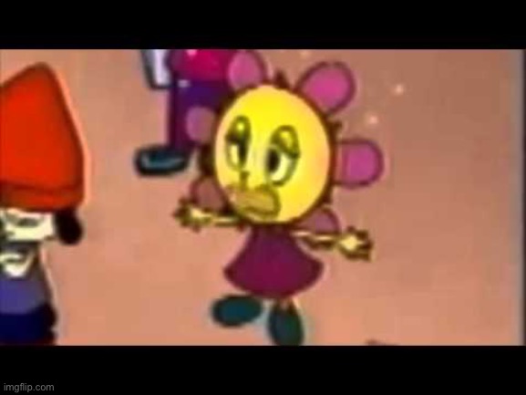 Sunni | made w/ Imgflip meme maker