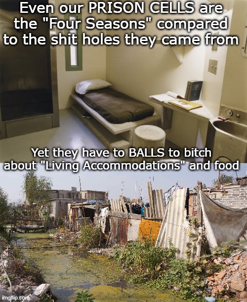 Sure Adopted the Lib Dem victim hood playbook pretty quick ! | Even our PRISON CELLS are the "Four Seasons" compared to the shit holes they came from; Yet they have to BALLS to bitch about "Living Accommodations" and food | image tagged in prison cell illegals meme | made w/ Imgflip meme maker