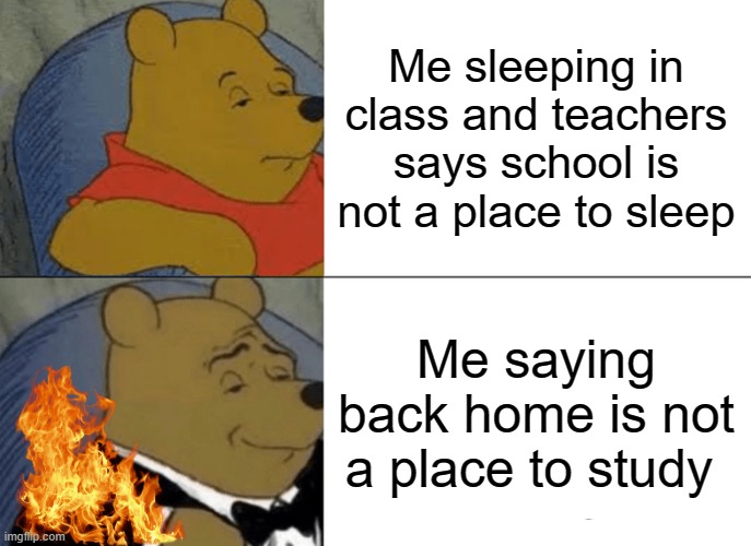 Tuxedo Winnie The Pooh | Me sleeping in class and teachers says school is not a place to sleep; Me saying back home is not a place to study | image tagged in memes,tuxedo winnie the pooh | made w/ Imgflip meme maker