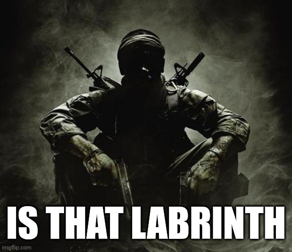 Is that [X]? | Black Ops | IS THAT LABRINTH | image tagged in is that x black ops | made w/ Imgflip meme maker