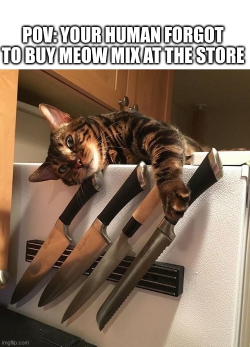 you shall feel the wrath of kitty | POV: YOUR HUMAN FORGOT TO BUY MEOW MIX AT THE STORE | image tagged in cat with knives,meow mix,cat,cat food | made w/ Imgflip meme maker